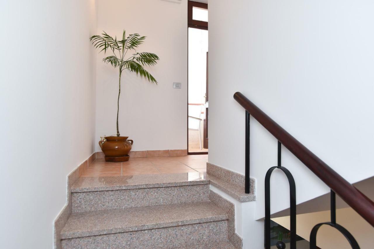 Guest House Jedro Petrovac Buitenkant foto